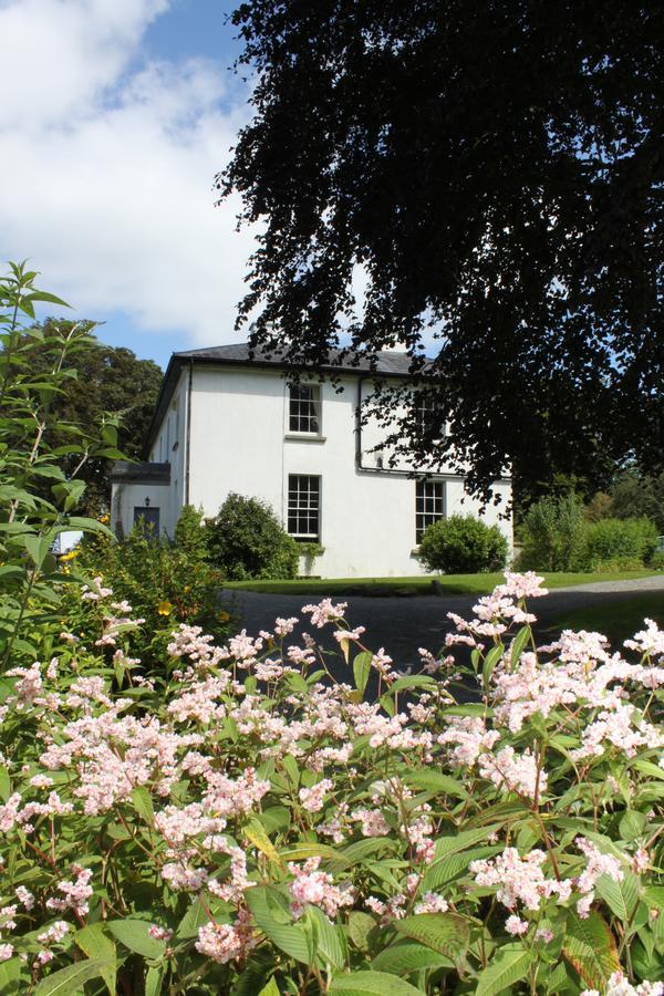 Bed and Breakfast Lough Bawn House Collinstown  Exteriér fotografie
